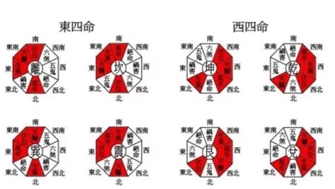 西四命 住宅|八宅風水講解：什么是東四宅與西四宅？